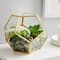 Gold Octagon Glass Terrarium By Ashland™